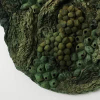  L&C Lab - Biomater - Free Shape III